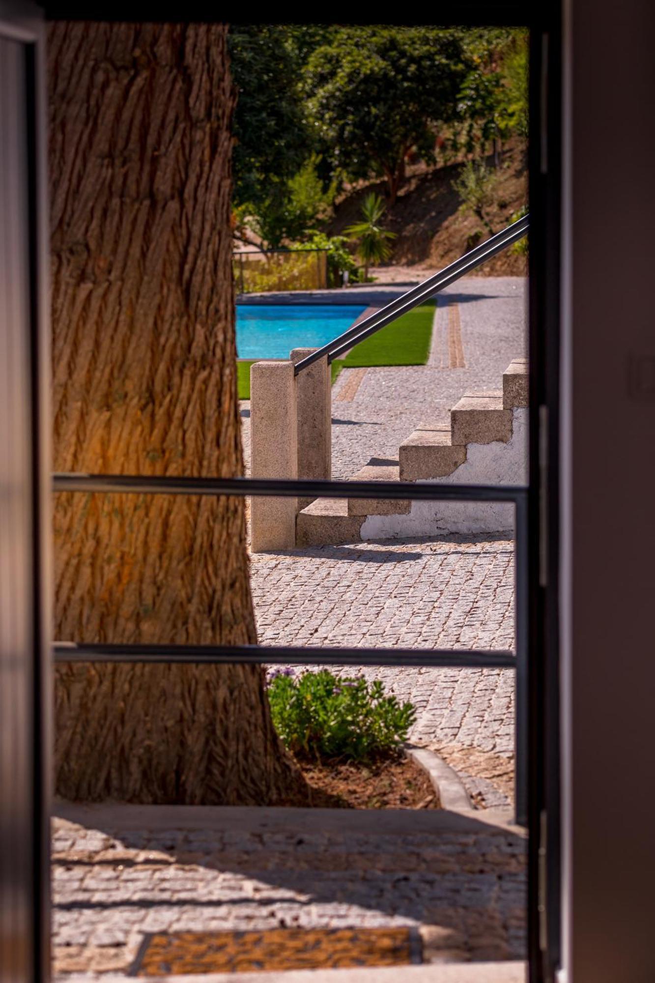 Quinta Da Portela Douro Armamar Bagian luar foto